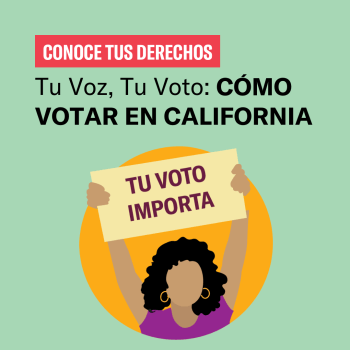 Graphic for "Tu Voz, Tu Voto"