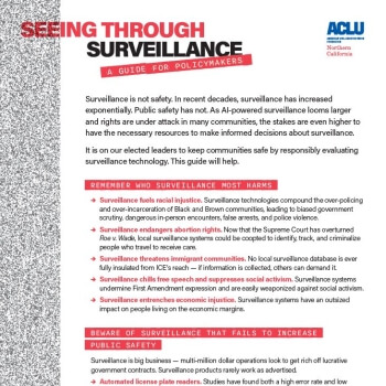 Screenshot of Seeing Through Surveillance One Pager