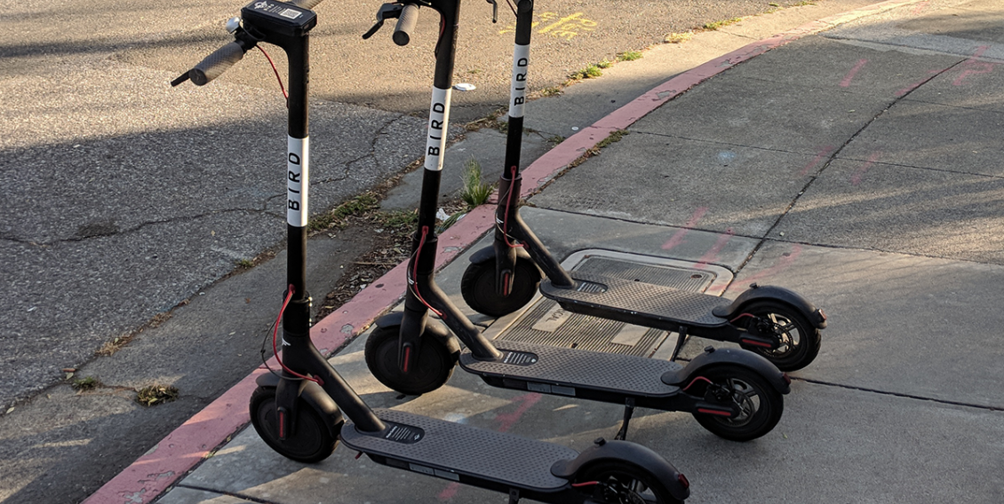 bird electric scooter