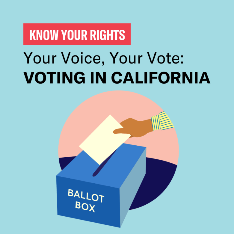 Graphic for "Your Voice, Your Vote" with hand putting ballot in ballot box