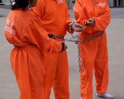 shackled prisoners (staged at a protest in front of SF Federal Building)