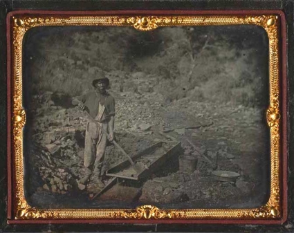 gold miner