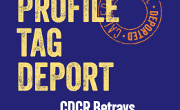 report cover