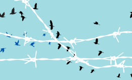 Light blue background with white barbwire and black birds flying