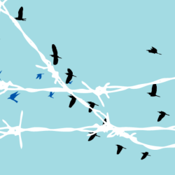 Light blue background with white barbwire and black birds flying