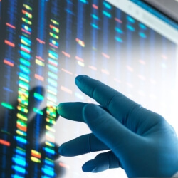 Scientist examining DNA profiles after analytical testing in the lab on a screen monitor