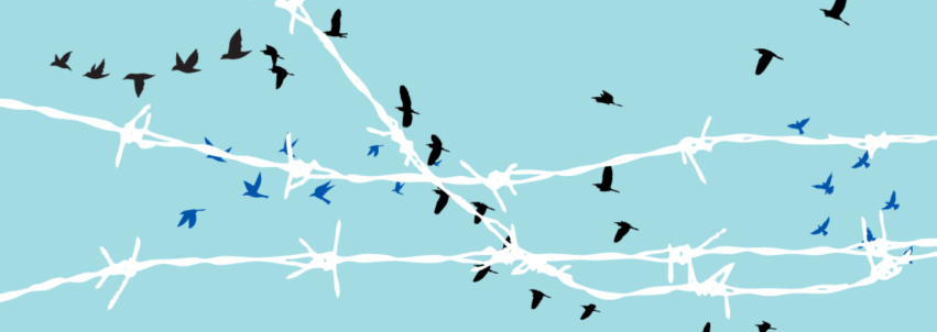 Light blue background with white barbwire. Black birds flying